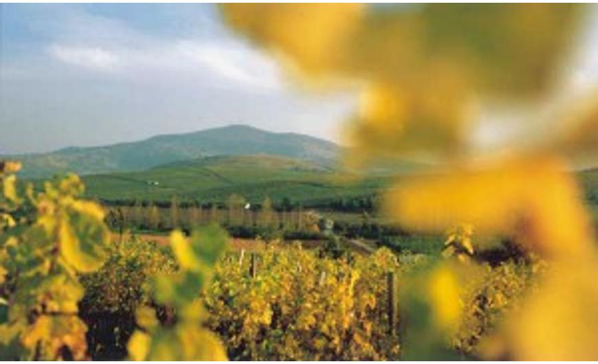 Tokaj, a világörökség gyöngyszeme